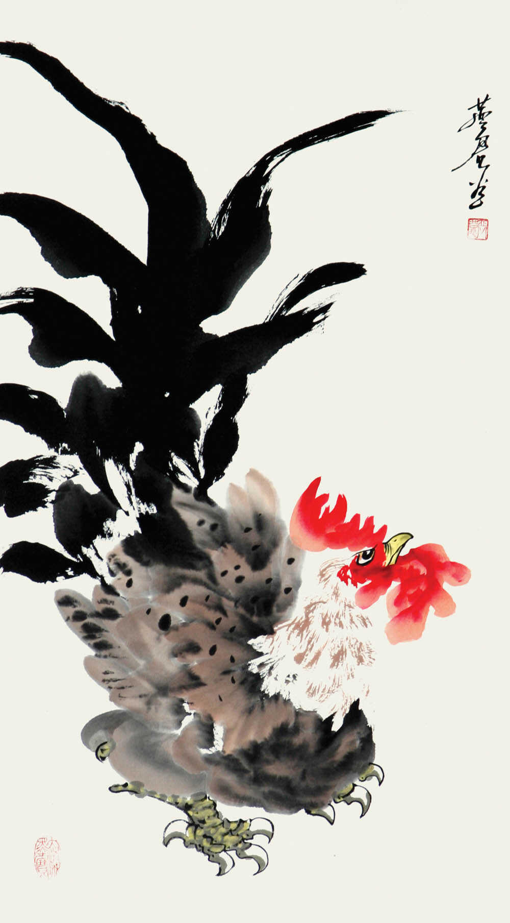 白燕君-雄鸡百态系列-31页-三尺